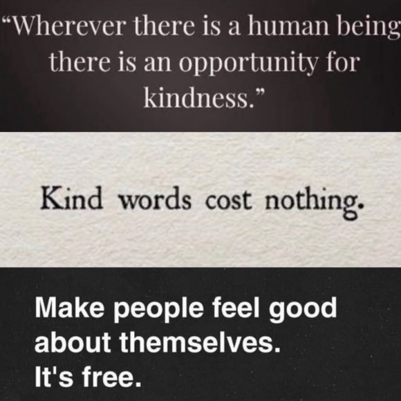 1 10” in Spode Botanical - Georgian Series - Picture 15 of 16